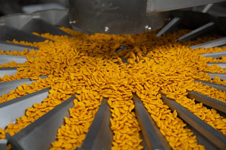 Goldfish crackers