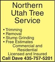 Northern Utah Tree Service Trimming